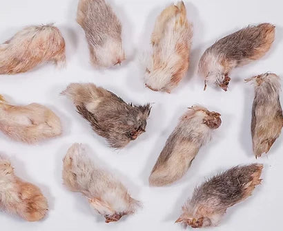 Raised Rabbit NH Farm