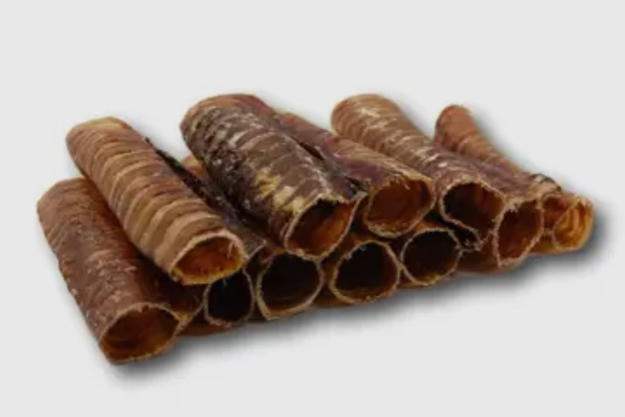 NH Local Deer Trachea 6" Long