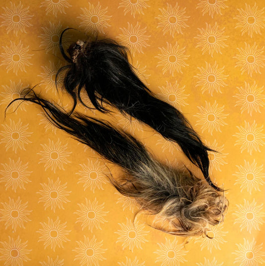 Goat Ear/Tail NH & VT Farm Raised