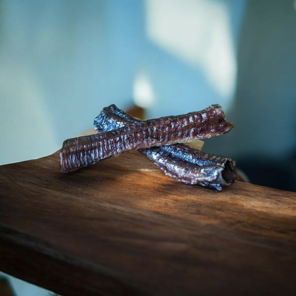 Emu Trachea 6 Inch Long NH Farm Raised (Coming Soon)