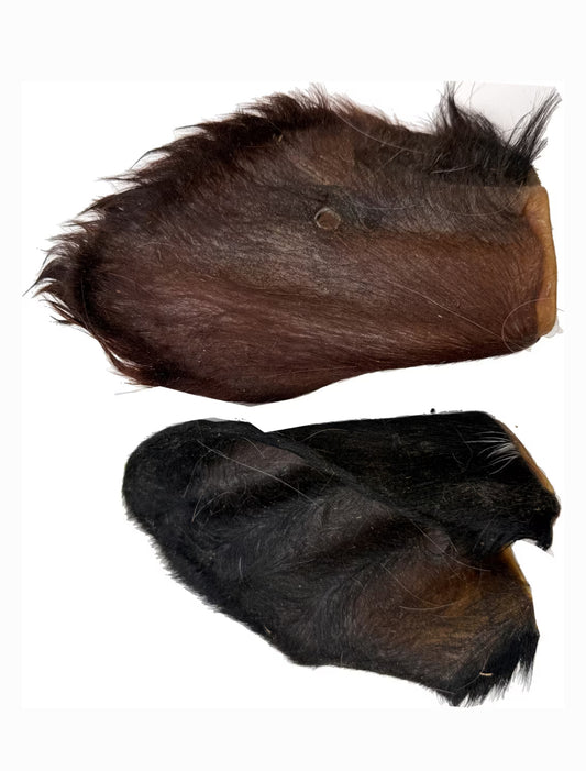 100% Grass Fed NH & VT Beef Ears (with trimmed hair)