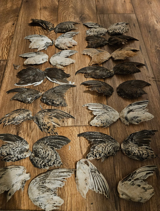 NH Farm-Raised Quail Wings (Dehydrated)
