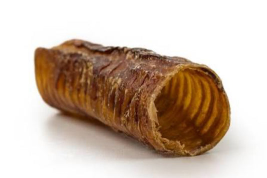Alpaca Trachea Chews 6 inch Long NH Farm Raised (Large)