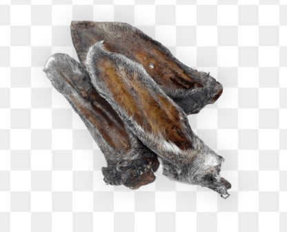 NH & VT Farm Raised Lamb Ears COMING SOON!!!