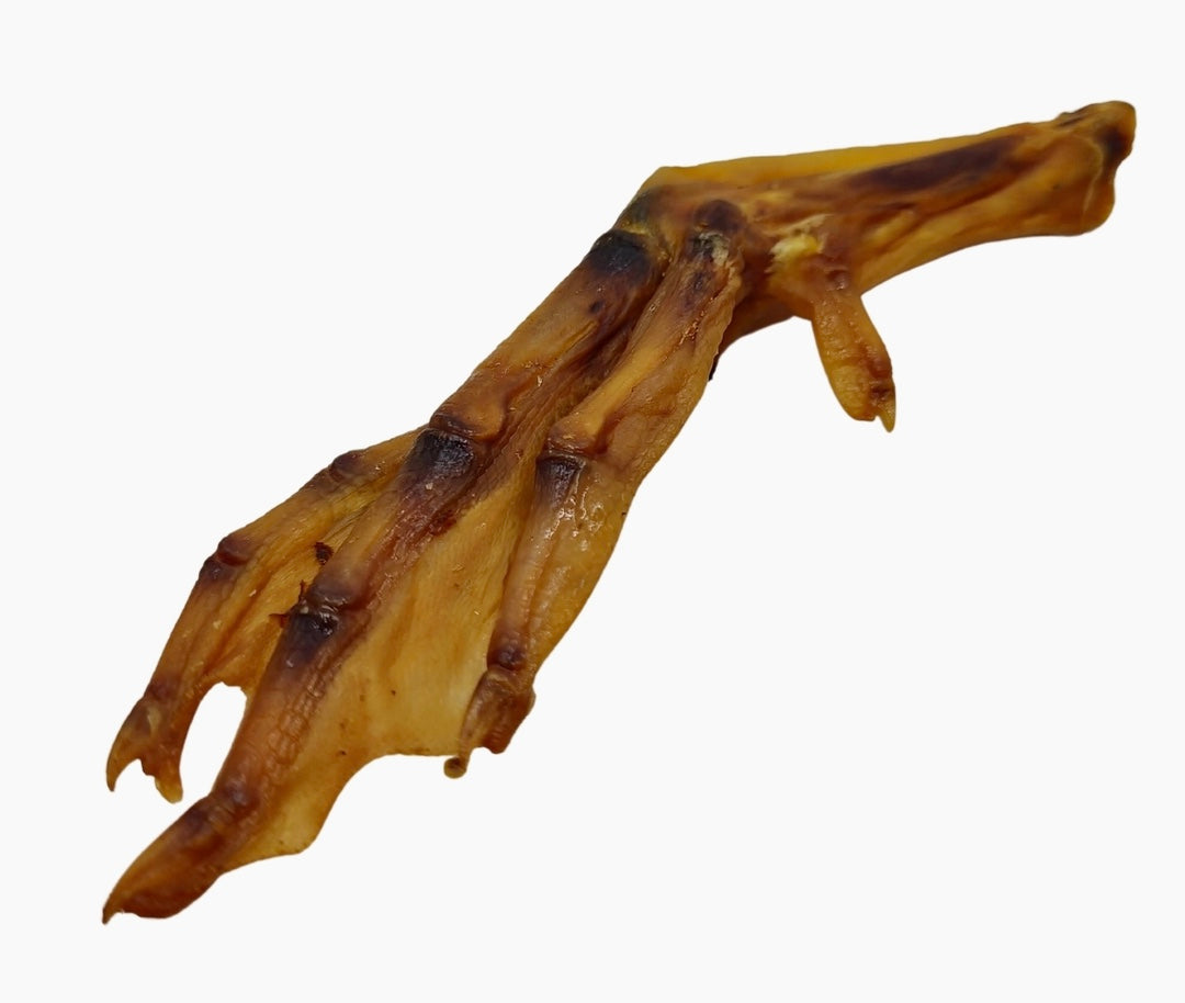 Duck Feet