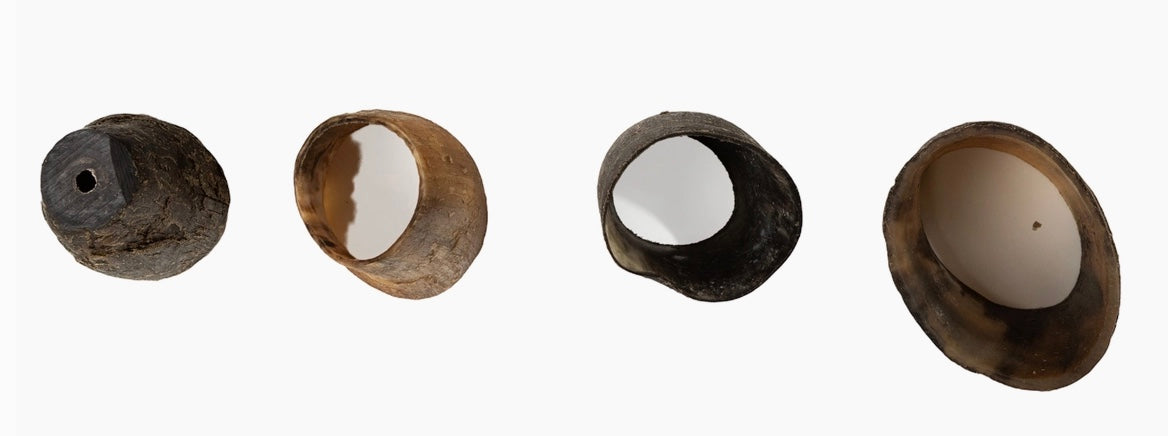 Beef Horn All-Natural Long-Lasting Dog Chew