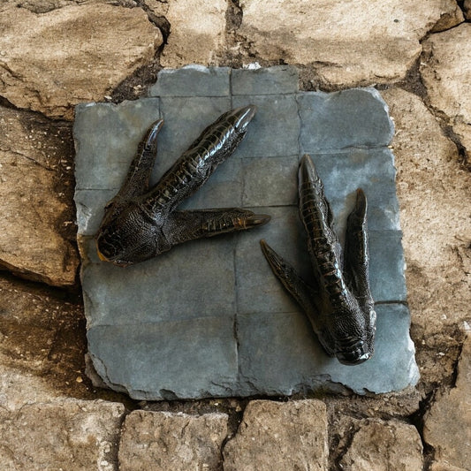 Emu Feet NH Farm Raised (Coming Soon)