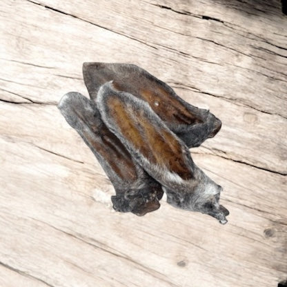 Lamb Ears NH & VT Farm Raised